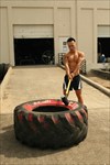 Trainer aiming to hit big tire
